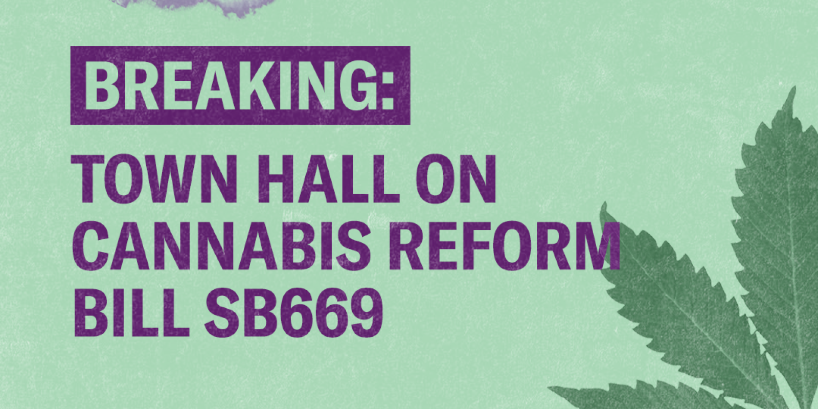 ACLU Of Hawai I Supports Cannabis Legislation ACLU Hawai I   3.13.23 Cannabis Alliance Press Release 1 